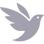 iNaturalist logo