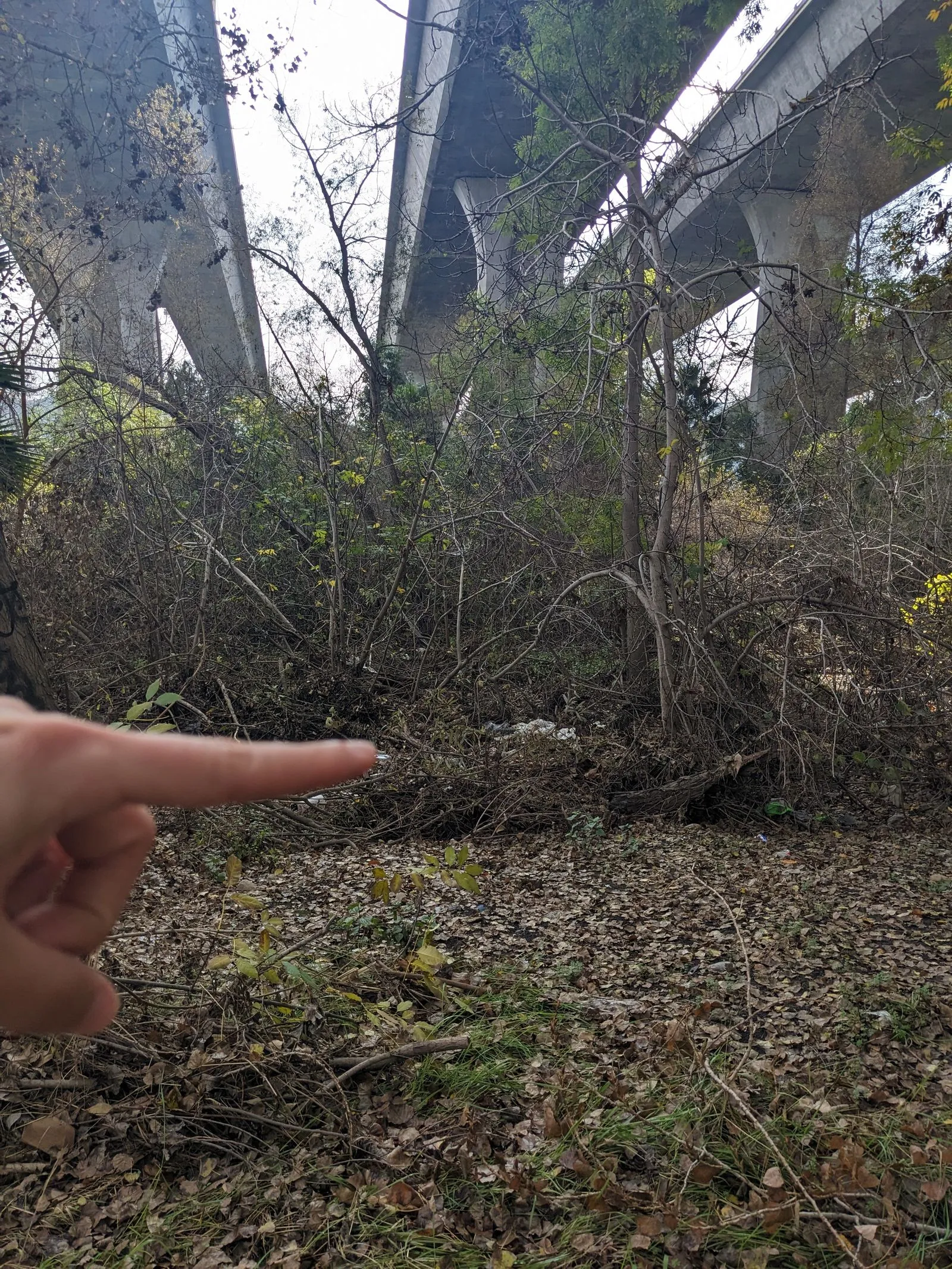 image of hand in the foreground pointing at trash data site