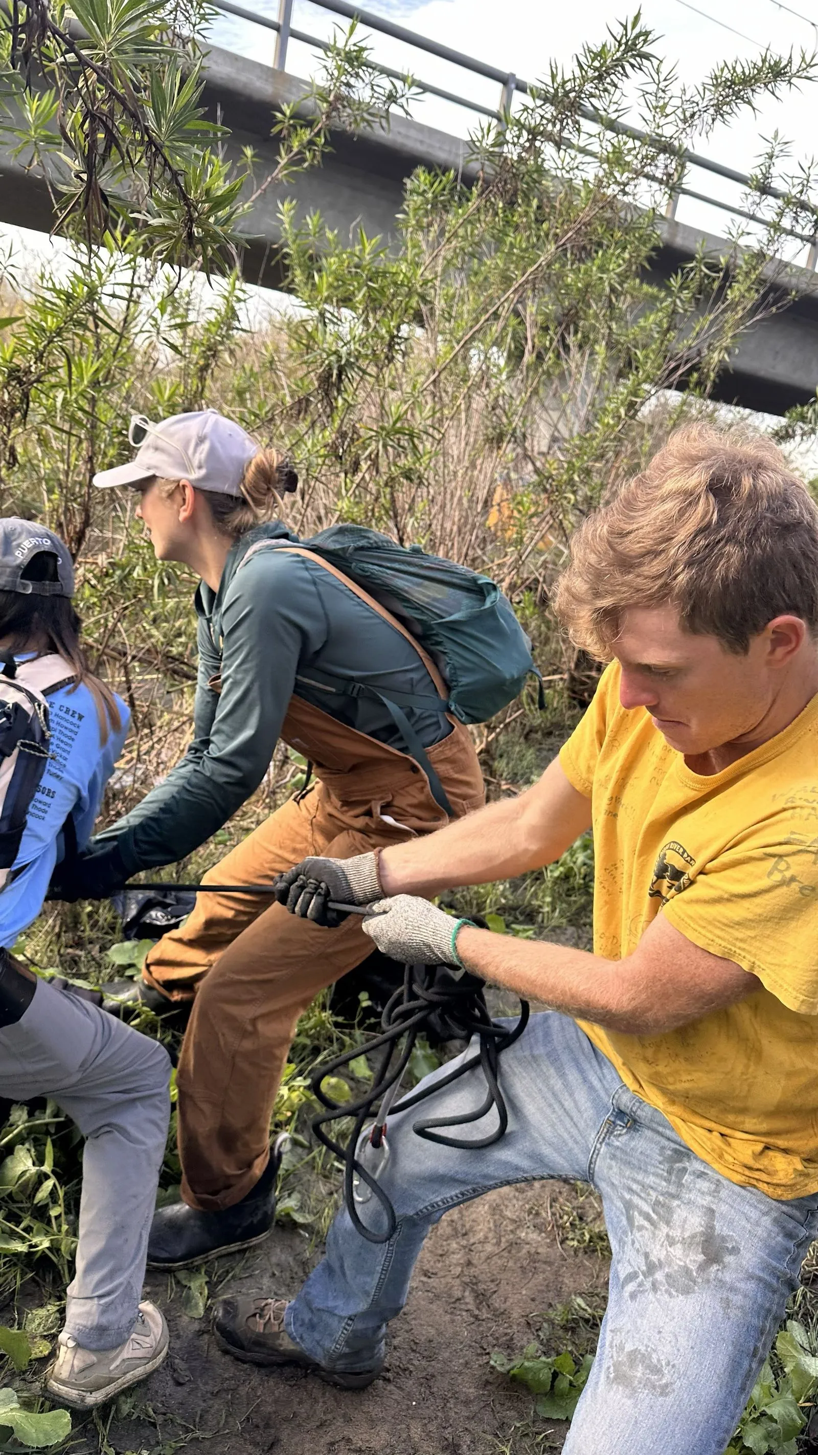 three people tug on a rope in vegetation beneath a bridge