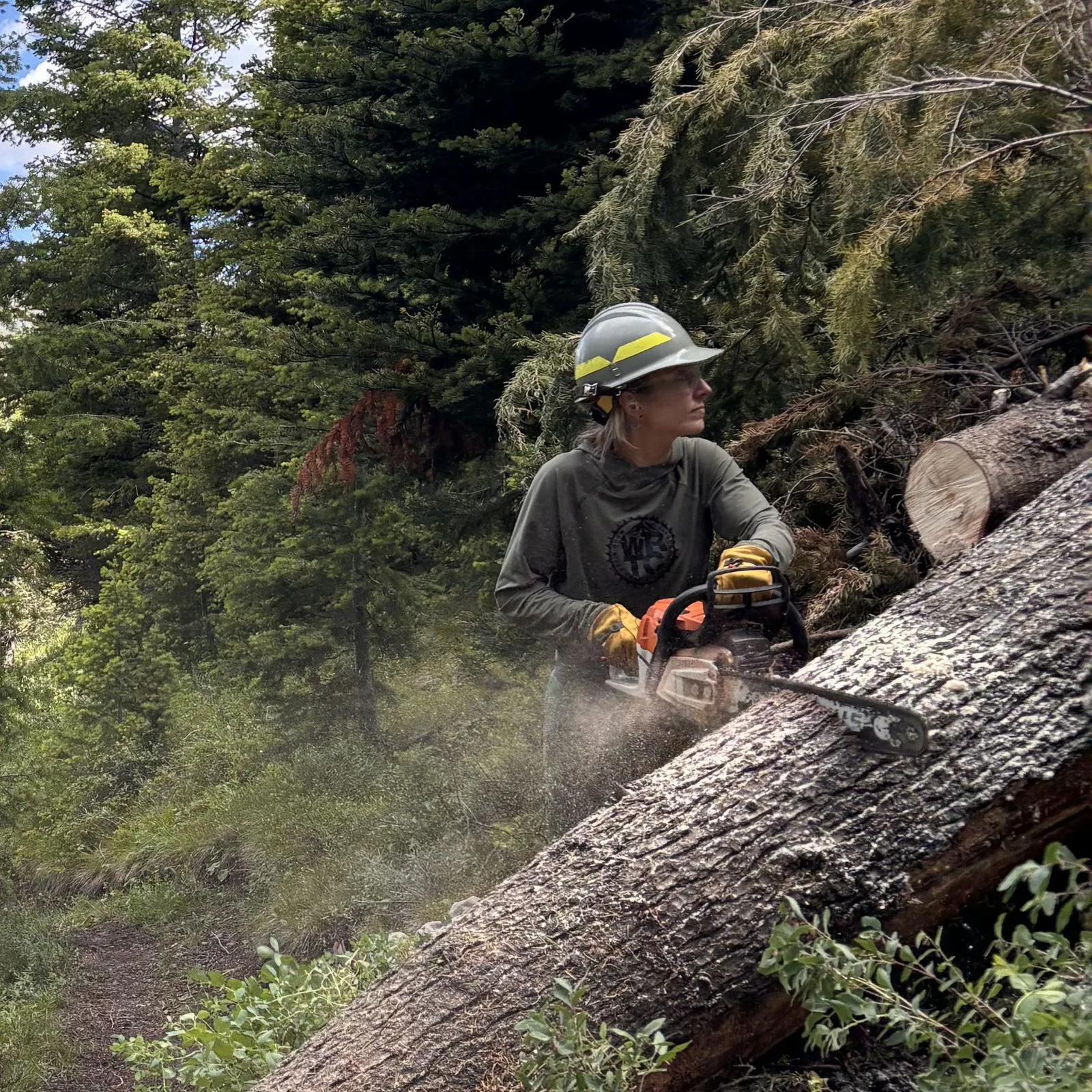 image of woman operating a chainsaw to cut a log