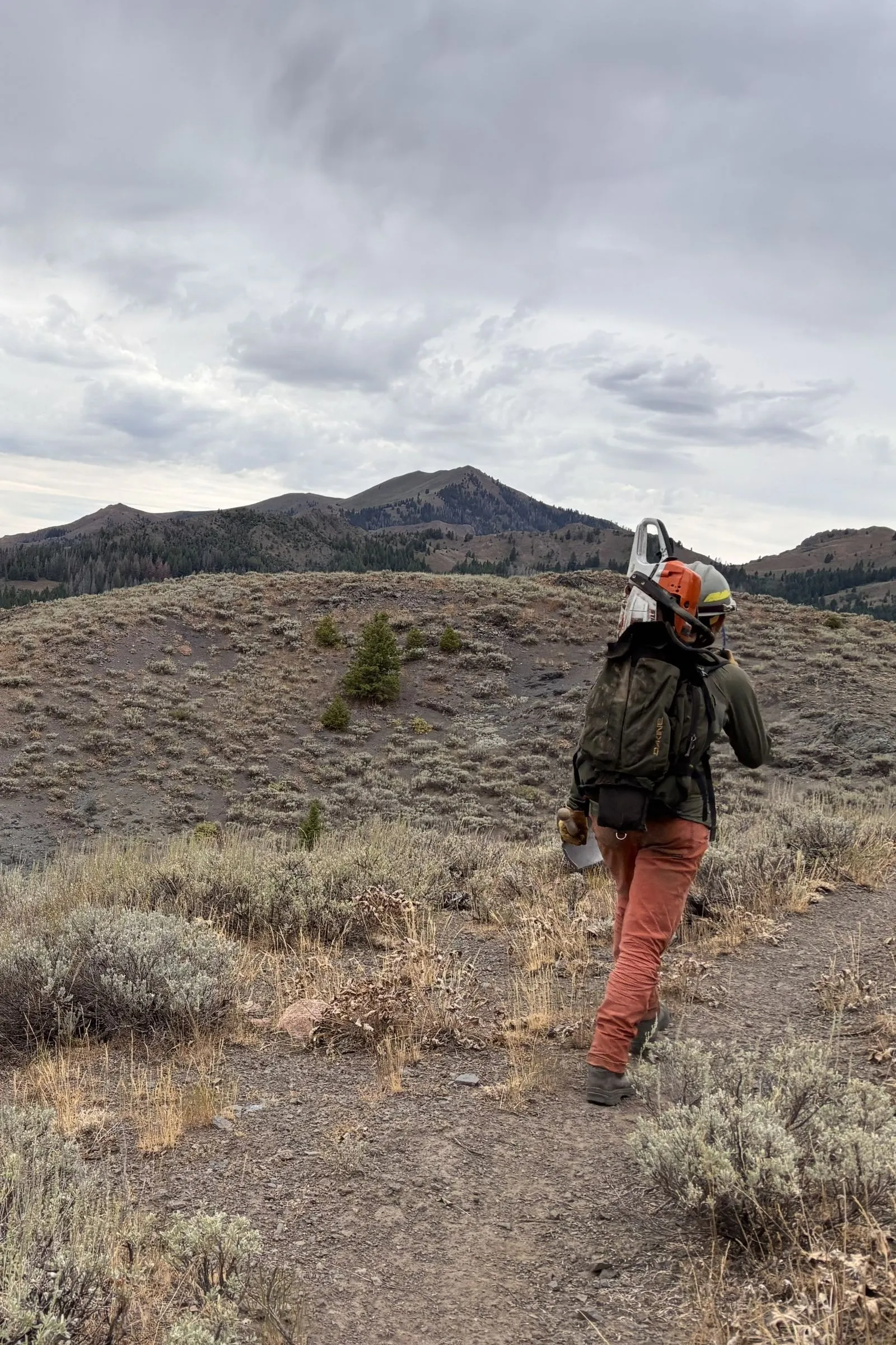 a woman hikes up a slope with backpack, shovel, and chainsaw