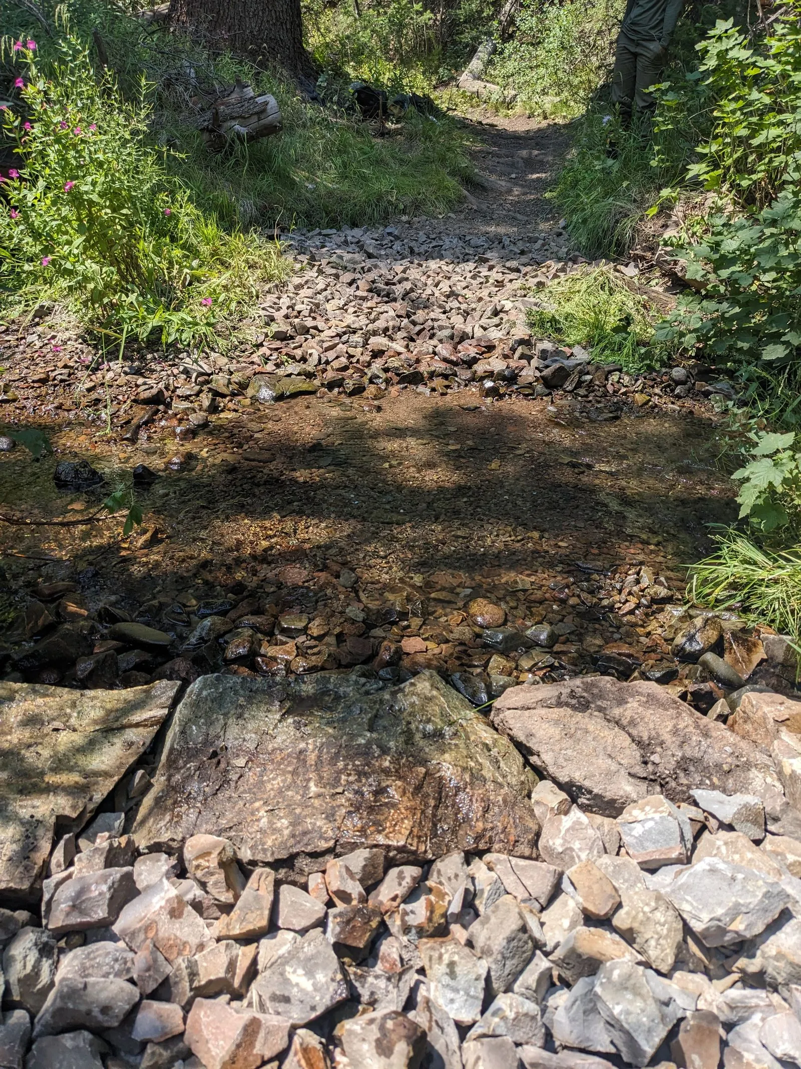 image of a creek with rockwork bank feature