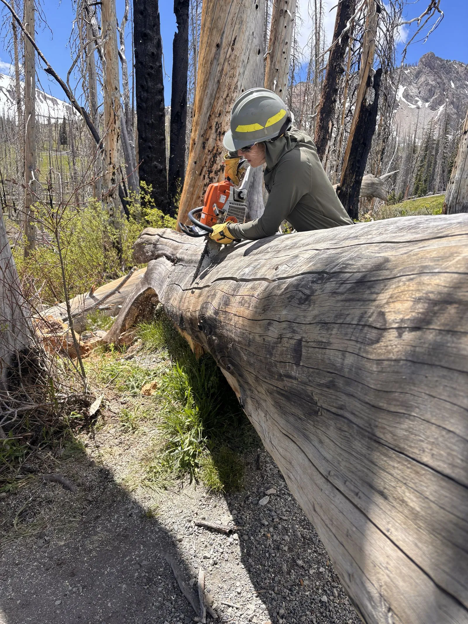 image of woman operating a chainsaw to cut a log